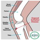 예산정형외과의원 이미지
