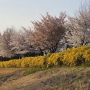오학 걷고싶은거리 | 오학 걷고싶은거리