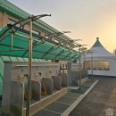 6429 | 겨울 골프 라운딩 드림파크 CC 그늘집 간식과 파크 코스 후기