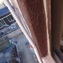 신평동1019 이미지