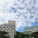 모이다식탁 | 평창 휘닉스파크 리조트 블루동 스카이 스위트 객실 조식 편의시설