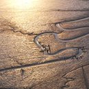 남해바다 이미지