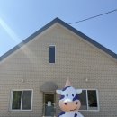감성목장 | 포천카페 추천 🤍 산정호수 근처 감성 목장카페 사르르목장 후기