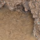 본동행정복지센터 이미지