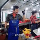 신바람농장 이미지