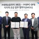 382 이미지