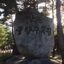 강릉솔향수목원 Daum카페