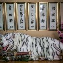 시곡4통마을회관 | 인생의 나침반이 필요할 때, 여기 제천점집 행운암 다녀왔어요!