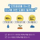 리치 프레쉬