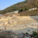 수당천 대전일보