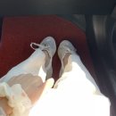 카칼라덴트