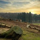 동인목장 이미지