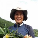 아빠농장 이미지