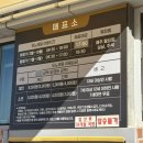 모노가든 | 거제 숲소리공원 모노레일, 양먹이주기체험, 신상놀이터 아이와 함께 다녀온 후기