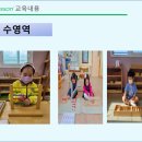몬테플로우