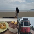 [부산 여행기] 금요일 오전 해운대 / 돼지팥빙수키노앙 / 블루라인파크 해변열차 마이리틀트립 예약 후기