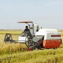 골몰농장 이미지