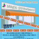 매직다방