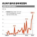 동해비어