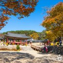 여주-1030 이미지