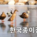 한국종이접기협회대구