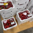 서봉산산림욕장 | [일상/화성]화성 봉담읍 서봉산 등산 코스 소개 및 화성로컬푸드직매장 방문 후기