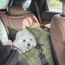 귀빈애견 이미지