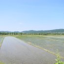 [경북] 서라벌 경주의 꿀명소, 경주 남산 나들이 ＜염불사지, 봉화골, 칠불암, 칠불암마애불상군＞ 이미지