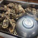 굴따러가세 이미지