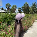 베트남 나트랑 4박 5일 자유여행 기록 끄적