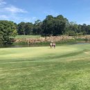 SC골프클럽 이미지