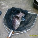 욕지파출소 이미지