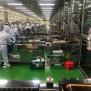 ㈜신안천사김 이미지