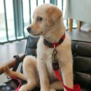 대청종합사회복지관 이미지