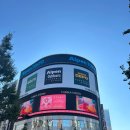 NEW RUN | ▤ NEW 트렌드▤ 일본 《동경》 RUN 상품 출시