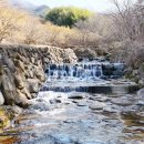 산수유사이길사이로식당앞 이미지