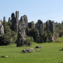 석림4로 이미지