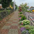 서귀포초등학교 이미지