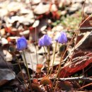 성남시립식물원 이미지