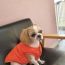 예인동물병원 이미지