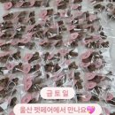 댕냥밥상 이미지