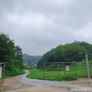 산용목장 | [서산/용현리] 🛤️푸르른 초원 한국의 알프스 🏞️용현저수지 용비지 ⚠️21년 3월부터 출입 제안⚠️