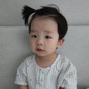 가득한향
