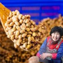 이조식품 쇼핑하우