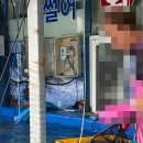 진하막썰어횟집