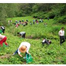 산채으뜸마을 이미지