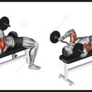 퍼펙트짐#2 이미지