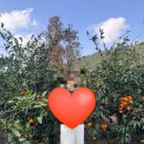 경미농장 이미지