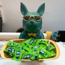 정동스크린골프 이미지