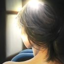 시의회(본관) 이미지